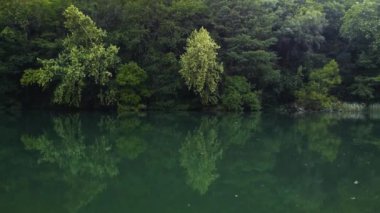 Ağaçlarla çevrili bir nehirde süzülürken