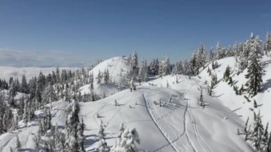 Karla kaplı bir dağ sırası ve çam ormanlarının tepesinde