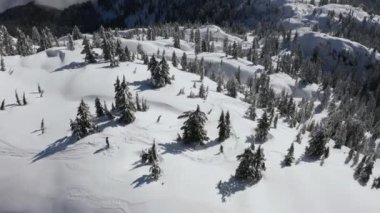 Kanada 'nın karlı rahatlığında kayak yapmak