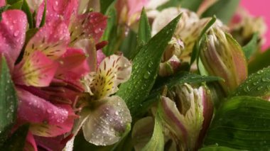 Sarı bir not defterine yazılacak el yazısının listesini kapat