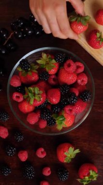 Canlı kurdeleler ve yaylarla sarılı renkli hediyeler dizisi, şenlikli kutlamalar ve özel günler için mükemmel.