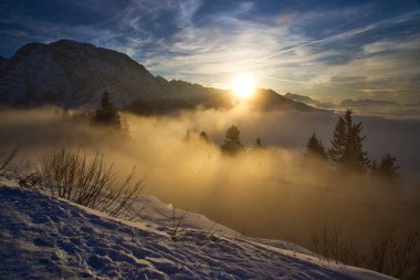 6 Şubat 2025 'te Sis ile Kış Akşamı