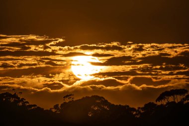 Yeni Güney Galler, Avustralya 'da Altın Gün Doğumu
