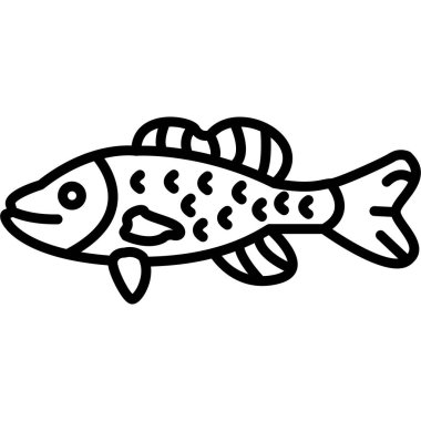 bir balığın vektör çizimi.