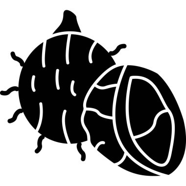 Bir uğur böceğinin siyah silueti, bacakları ve siyah bir uğur böceği, çizim