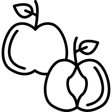 elma meyvesi ana hatlı sağlıklı gıda