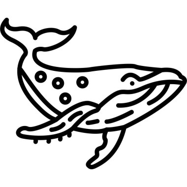 çizgi çizme çizgi film deniz balina