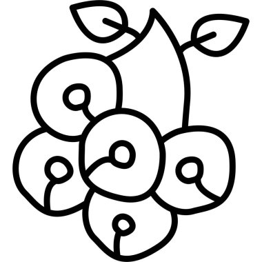 kiraz çiçeği ikonu vektör ana hatları tasarımı