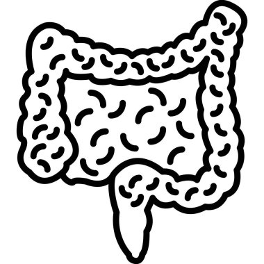 İnsan bağırsağının basit bir gösterimi