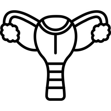 Kadınların üreme sisteminin basit ana hatları