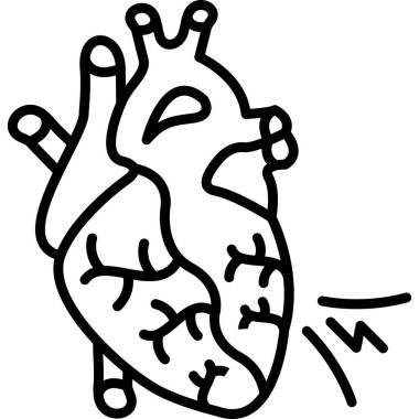 İnsan kalbinin ana hatlarının çizimi