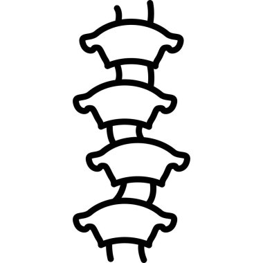 İnsan omurgasının basit ana hatları
