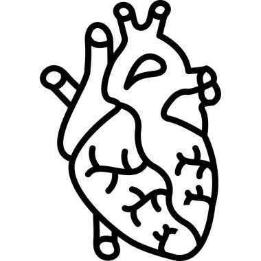 İnsan kalp şeklinin basit ana hatları