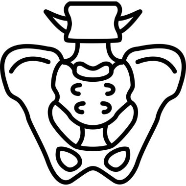 İnsan leğen kemiği yapısının basit ana hatları