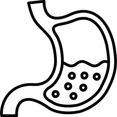 İnsan mide organının basit bir taslağı.