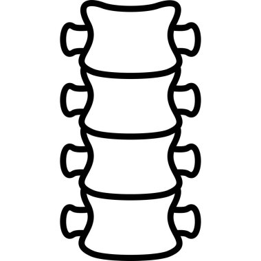 İnsan omurgasının basit ana hatları