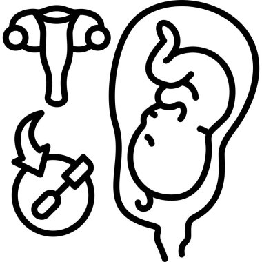 İnsan embriyosunun gelişimini tasvir eden basit bir çizgi.