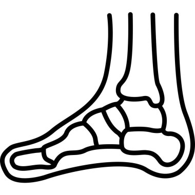 İnsan ayağı ve ayak bileği çizimi