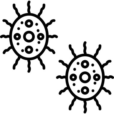 Dairesel şekilli ve sivri uçlu iki bakteri.