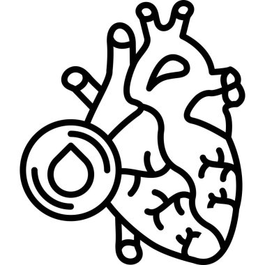 İnsan kalp anatomisinin detaylı çizimi