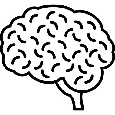 İnsan beyin şeklinin basit ana hatları