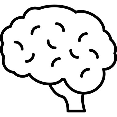 İnsan beyninin basit bir tasviri.