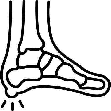 İnsan ayak anatomisinin ayrıntılı ana hatları