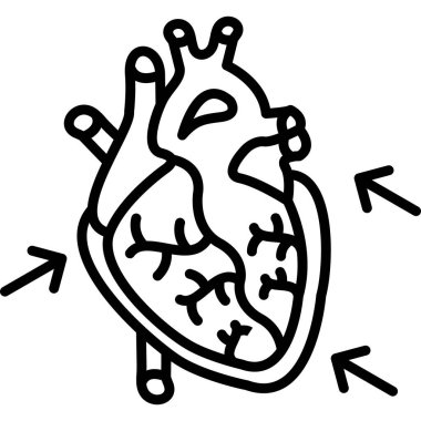 Beyaz arka planda karıncığını gösteren küçük okları olan insan kalbi..