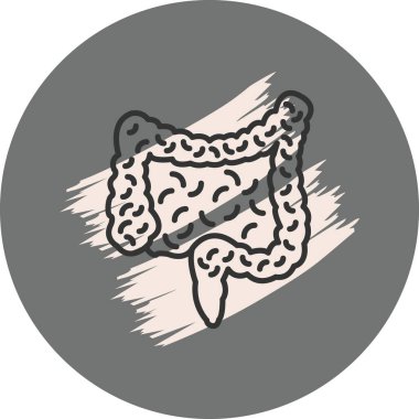 İnsan sindirim sisteminin basit bir gösterimi