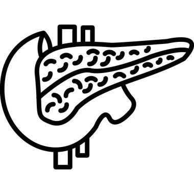 İnsan pankreas organının basit ana hatları