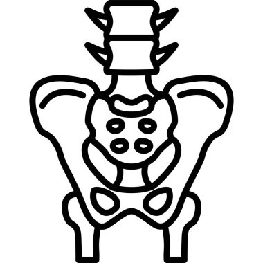 İnsan leğen kemiği yapısının basit ana hatları