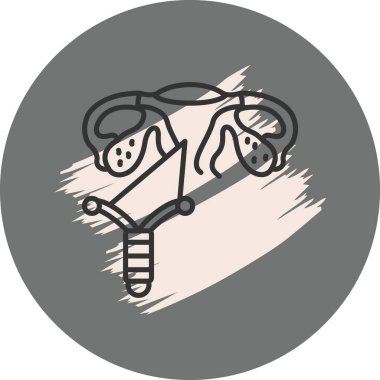 Graphic showing female reproductive system anatomy