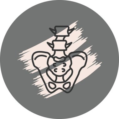 İnsan leğen kemiğinin basit bir gösterimi