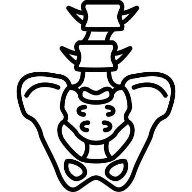 İnsan leğen kemiği yapısının basit ana hatları