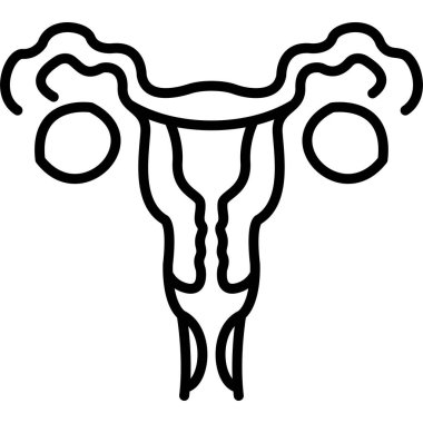 Kadınların üreme sistemi diyagramının basit ana hatları