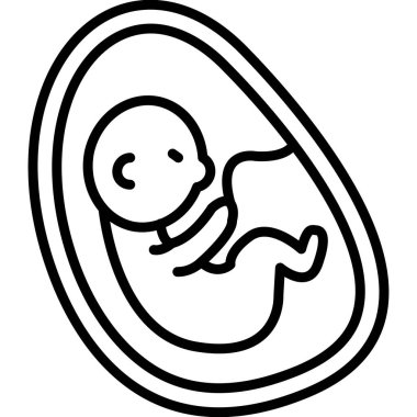 Ana rahmindeki fetüsün basit ana hatları.