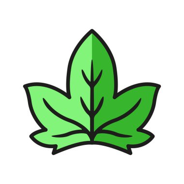 Yaprak ikonu vektör tasarımı şablonları basit ve modern konsept grafiği