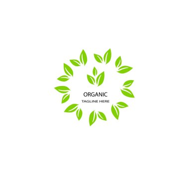 Doğal yaprak logo tasarım vektörü