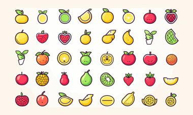 Çeşitli Meyve Vektör Koleksiyonu Türleri
