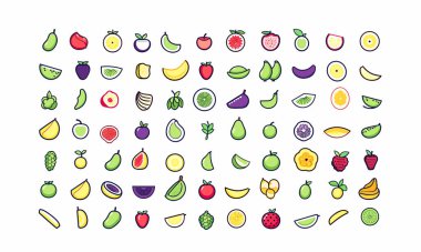 Çeşitli Meyve Vektör Koleksiyonu Türleri