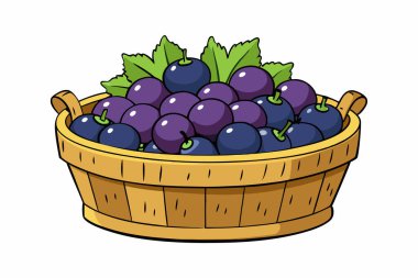 Sepet yeni toplanmış jabuticaba meyveleriyle dolu.