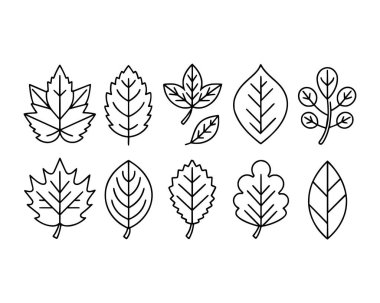 İnce çizgi simgesi seti bırakır