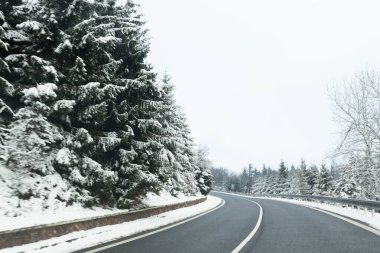 Kış yolu ve karla kaplı, karlı ve karlı ağaçlar. Yüksek kalite fotoğraf