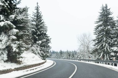 Kış yolu ve karla kaplı, karlı ve karlı ağaçlar. Yüksek kalite fotoğraf