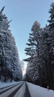 Çok güzel donmuş ağaçlarla çevrili nefes kesici, karlı bir yol. Güzel kış manzaraları için ideal.