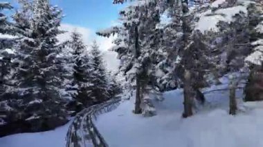 Mavi gökyüzüne karşı karla kaplı ağaçların manzarası hayranlık uyandıran sakin bir kış sahnesi yaratıyor.