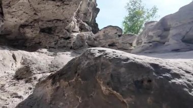 Ağaçlar ve doğal ışıkla çevrili kumlu bir yolu çerçeveleyen eşsiz kaya oluşumlarının manzarası sakin bir atmosfer yaratıyor.