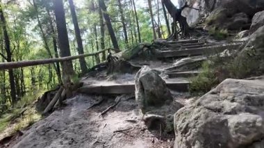 Taş basamaklar ağaçlar ve kayalarla çevrili, doğada sakin bir yol yaratıyor, keşif ve maceraya davetiye çıkarıyor.