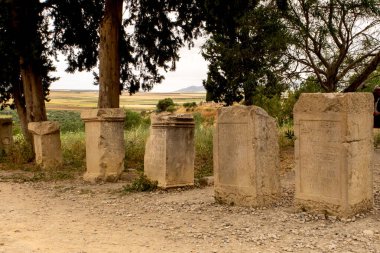 Bir İmparatorluğun Harabeleri: Volubilis Mezarları