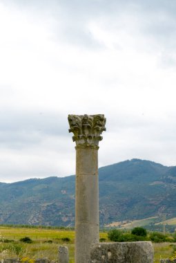 Roma Harabeleri Arasındaki Antik Sütun